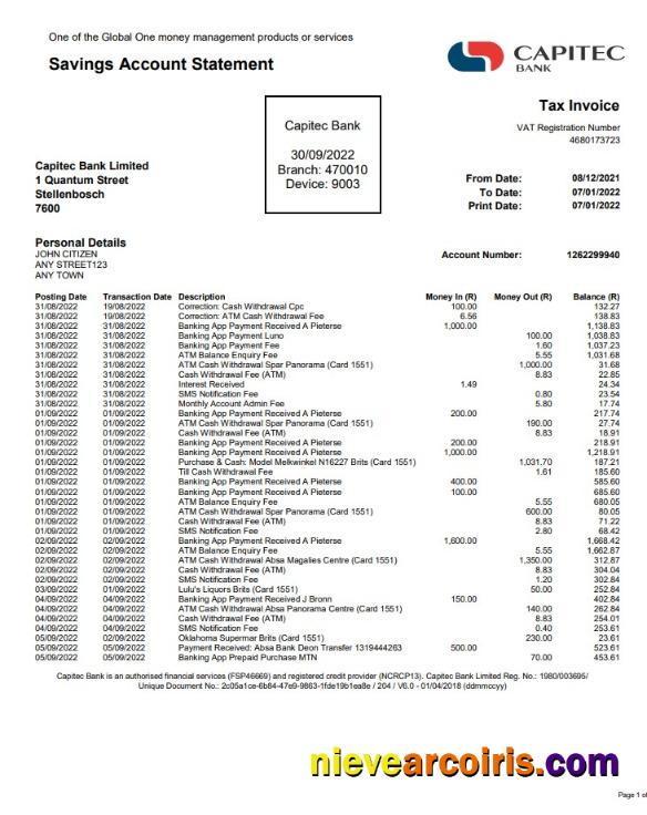 USA Capitec Bank Statement